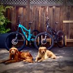 The Stable